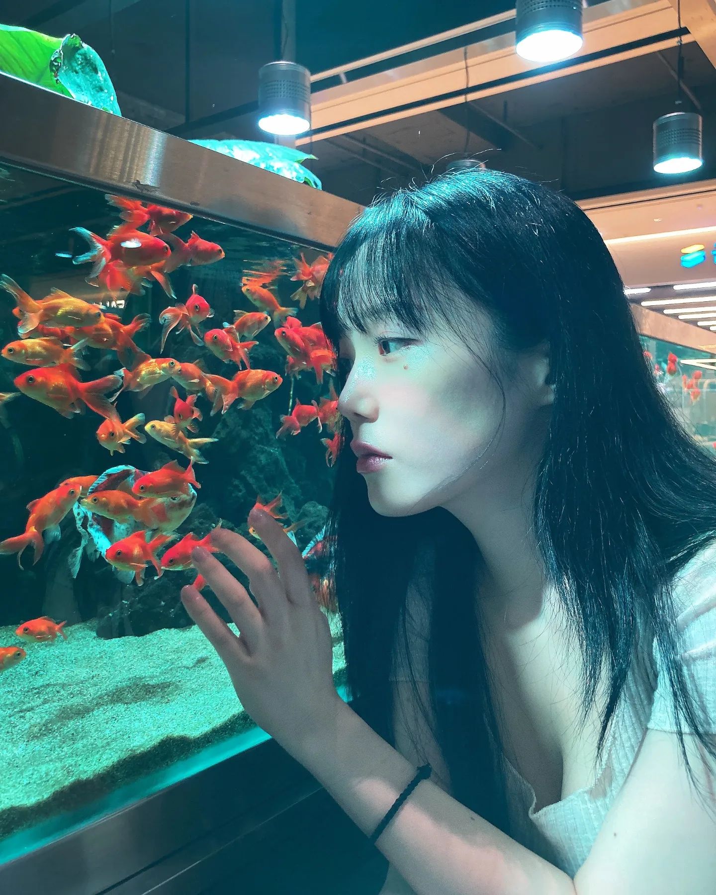 Jamonghae柚子